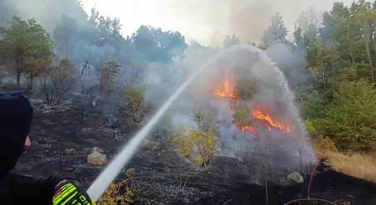 Hakkaride 3 farklı bölgede çıkan yangın itfaiye ekiplerince söndürüldü