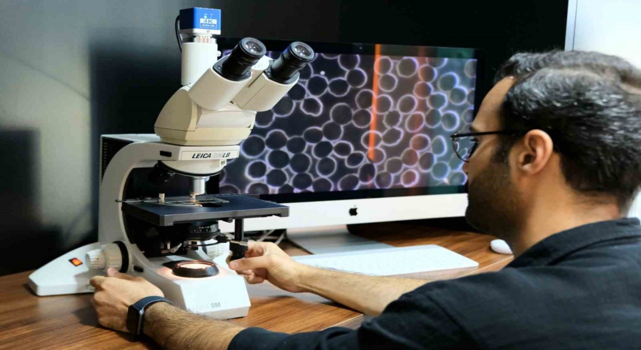 Hastalıklar, kök sebebi hedeflenerek tedavi edilecek