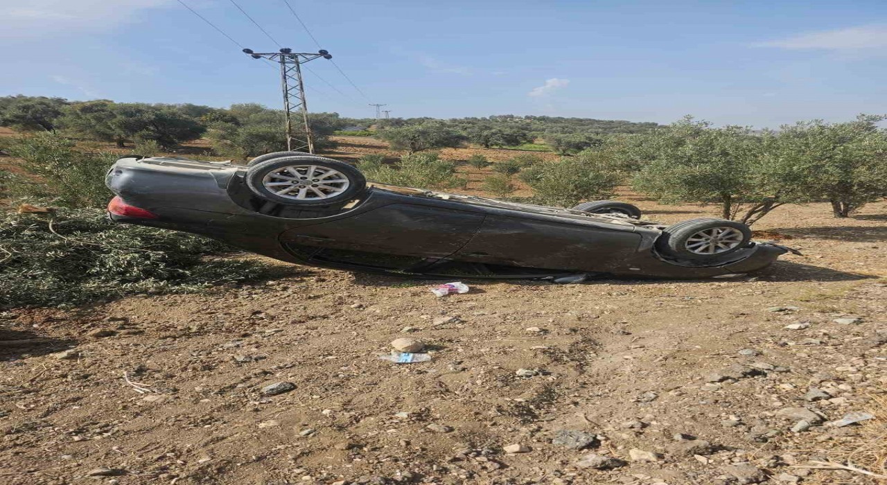 Hatayda zeytin bahçesine uçan otomobildeki 3 kişi yaralandı