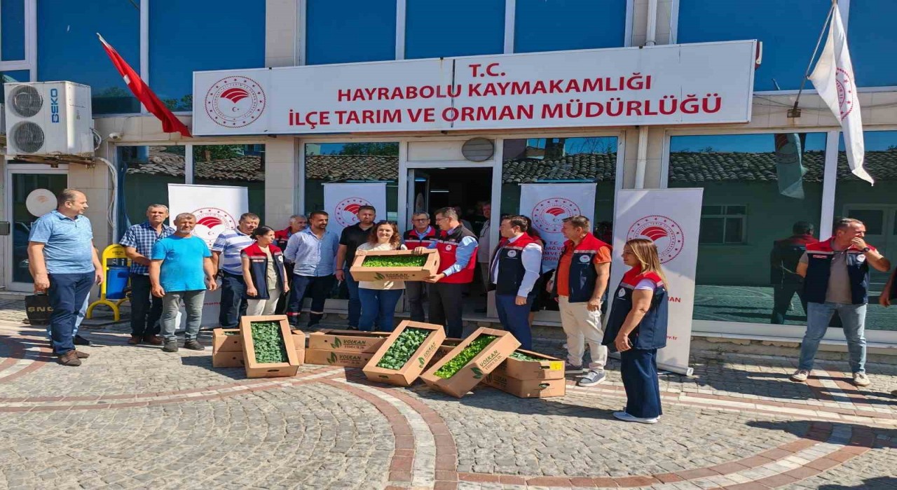 Hayraboluda üreticilere kışlık fide desteği