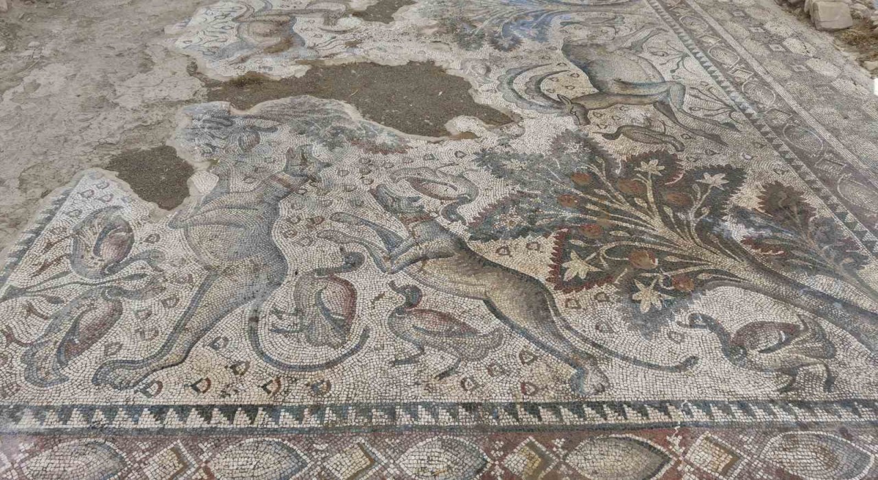 Hayvan figürleriyle dolu bin 700 yıllık Roma mozaiği, burjuva yaşamının izlerini taşıyor