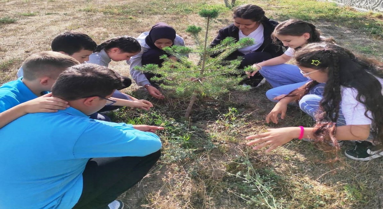 Hisarcık AİHLde ilk ders, Yeşil Vatan