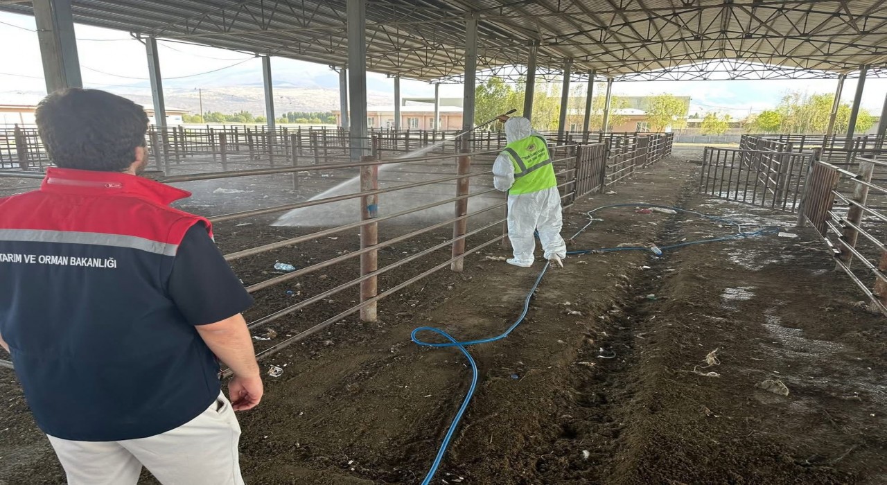 Iğdırda açılan hayvan pazarı 2 hafta sonra tekrar kapatıldı