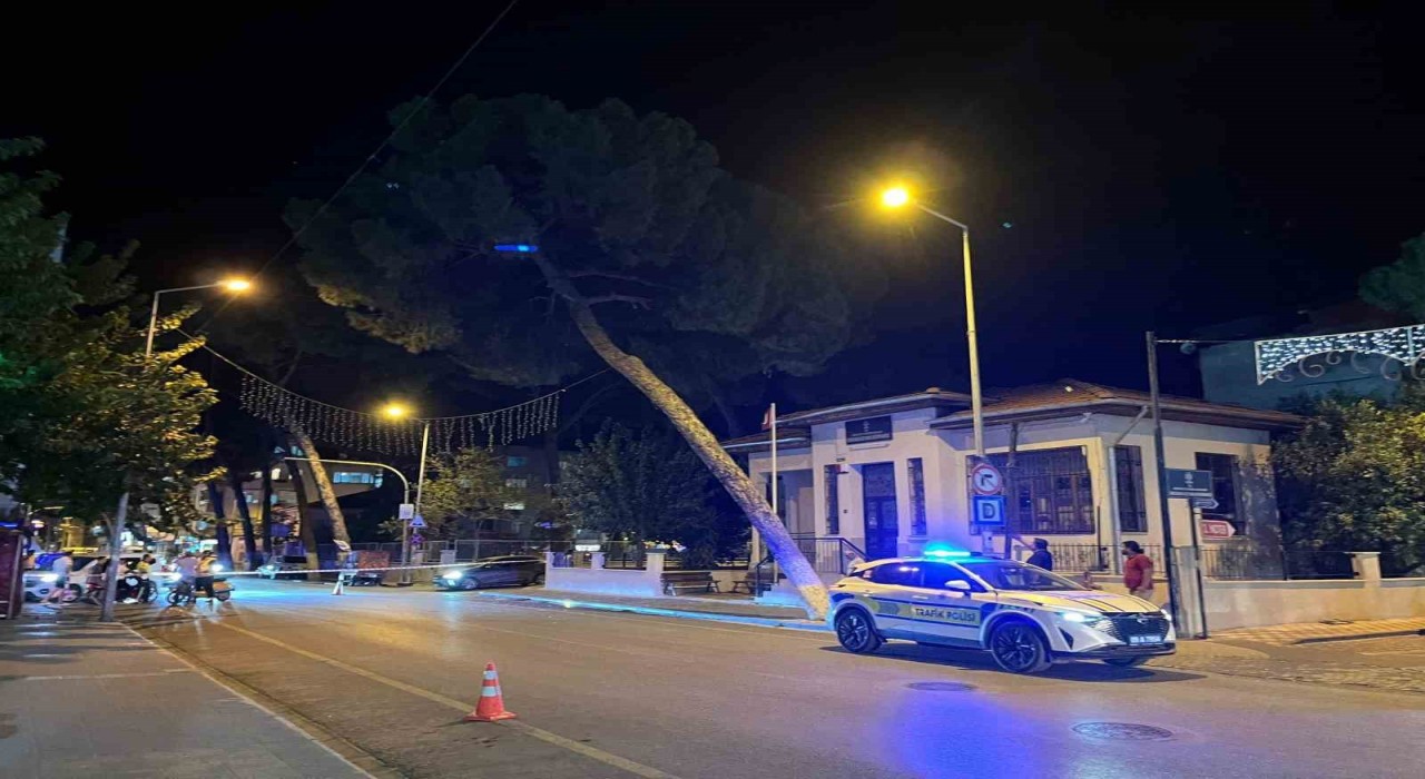 İncirliovada kuvvetli rüzgar ağacı devirdi