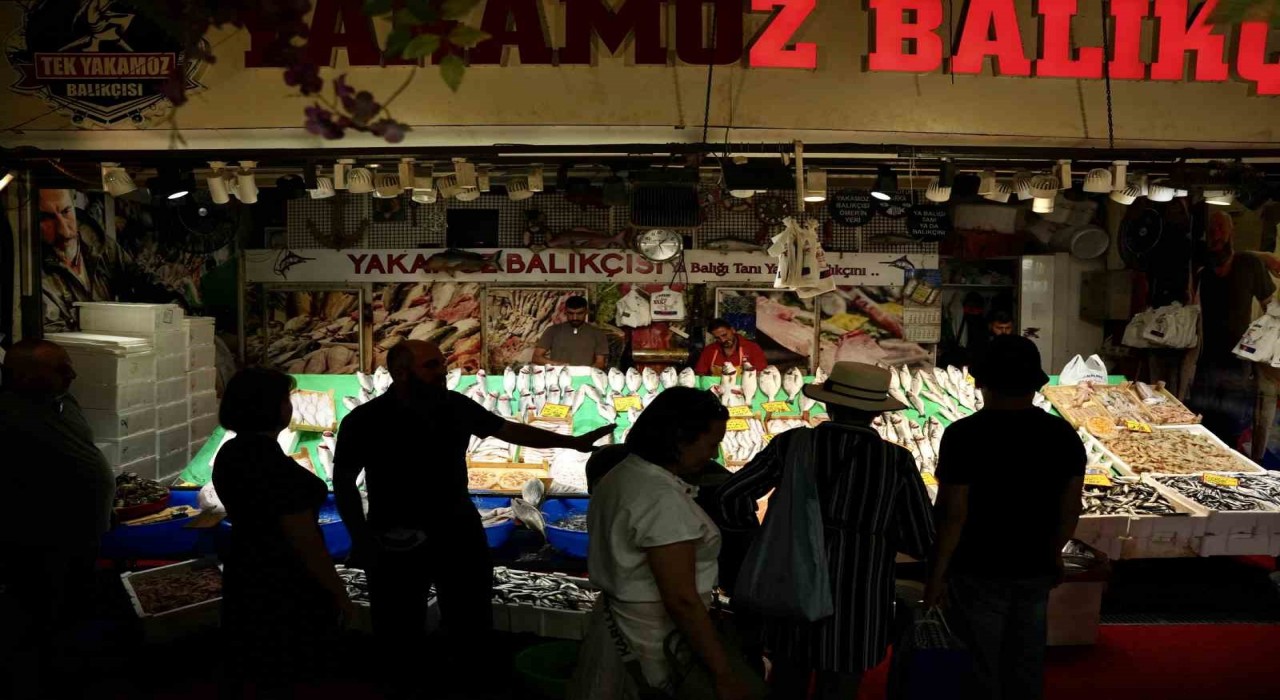 İstanbulda balık sezonu hamsi ve istavrit bolluğuyla başladı