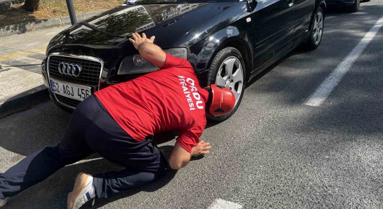 İtfaiyeden kedi kurtarma operasyonu