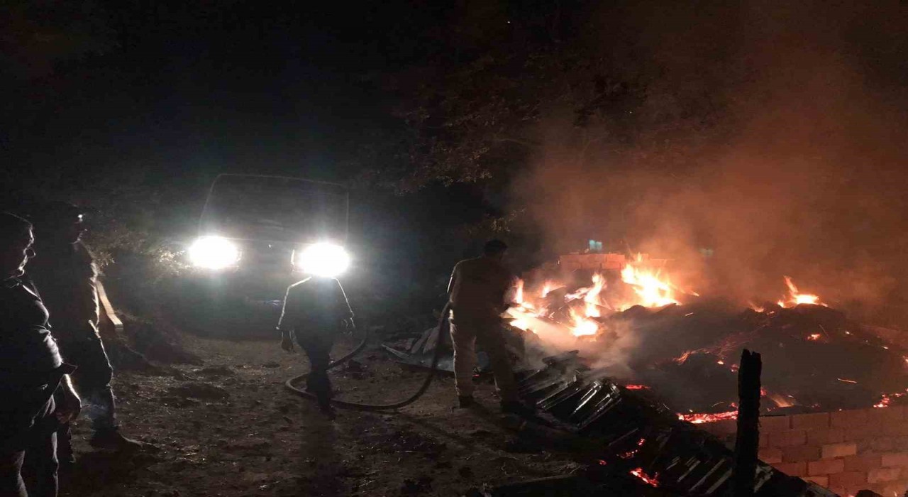 İvrindide hayvan damı yandı