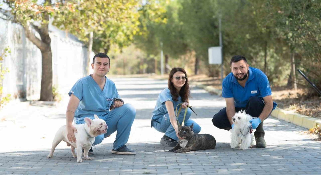 İzmirde el konulan 20 cins köpek Işıkkent Köpek Bakımevinde