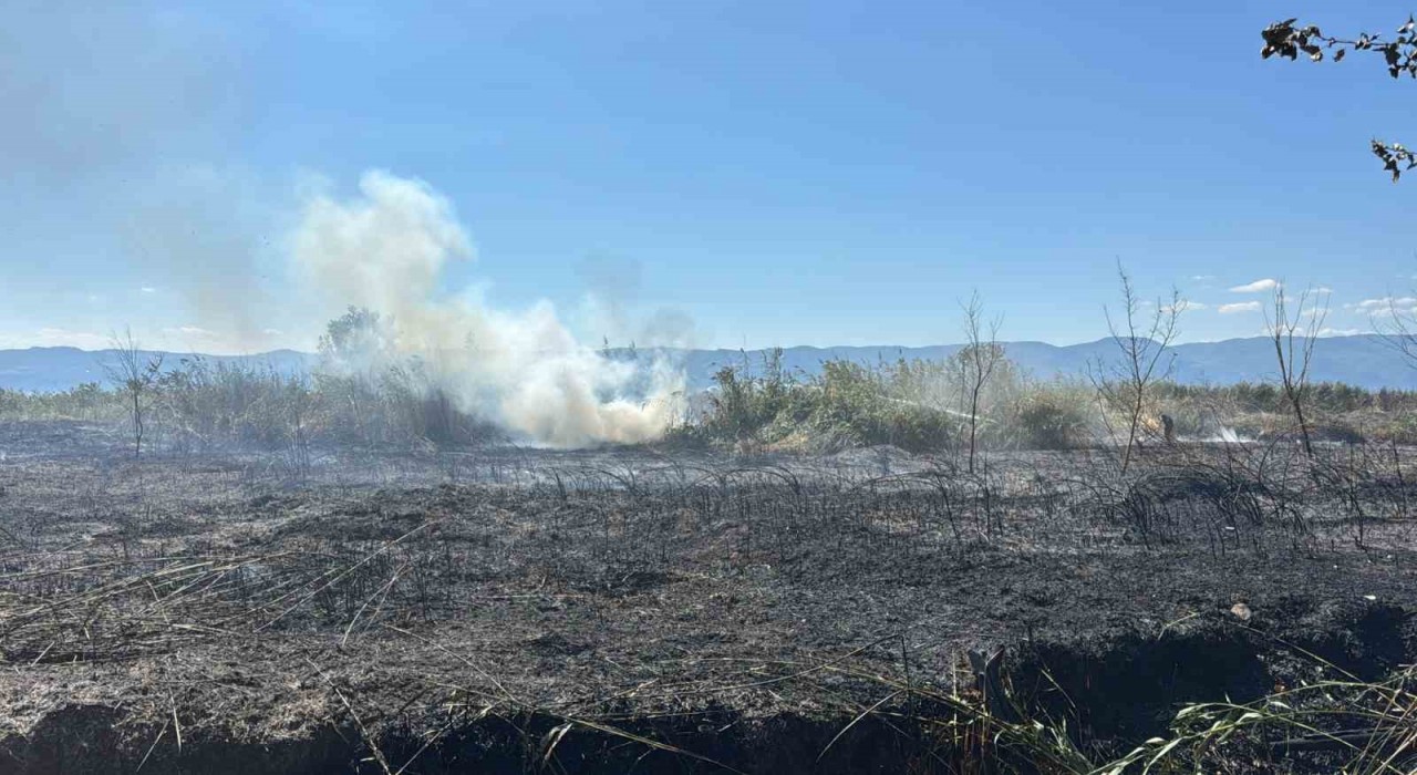 İznik Boyalıcada sazlık alanda yangın: 100 dönüm alan küle döndü