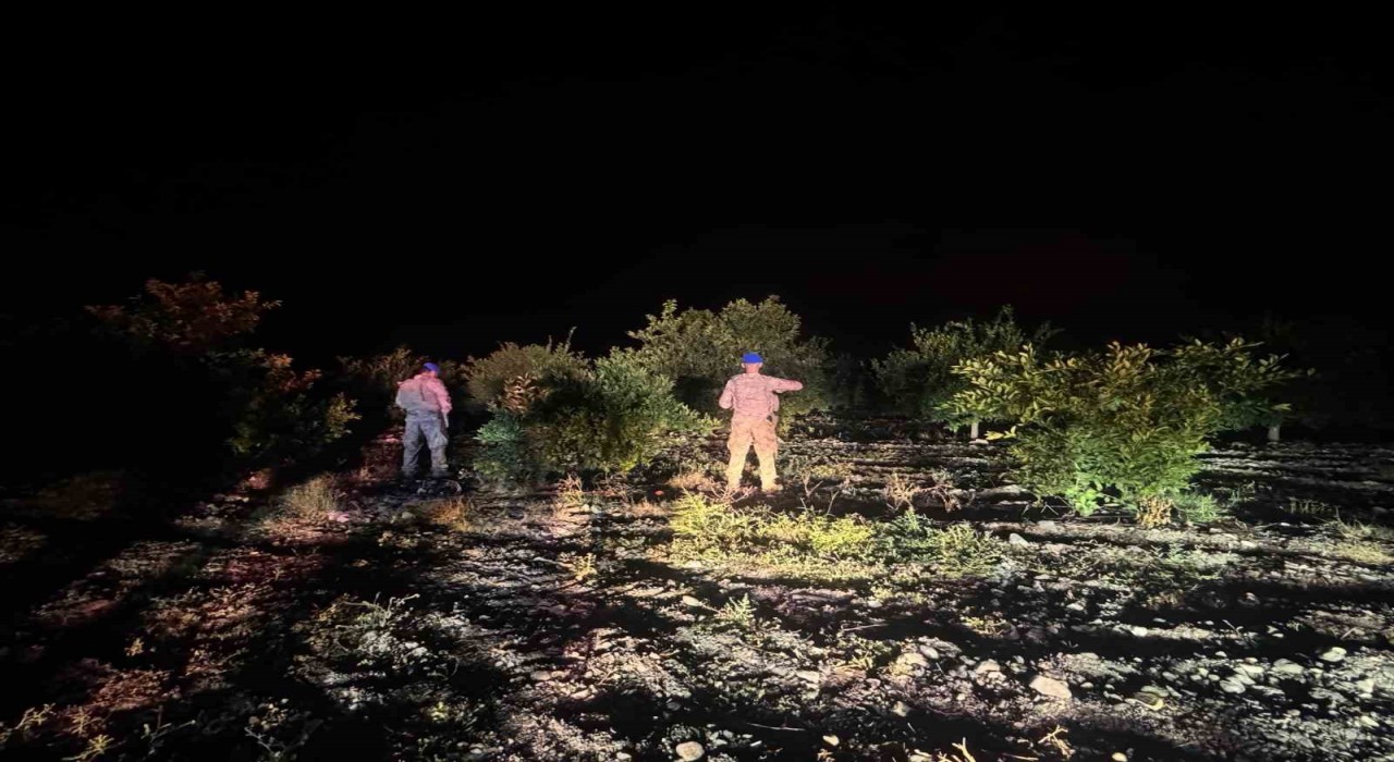 Jandarma ekipleri, narenciye hırsızlarına karşı devriyede