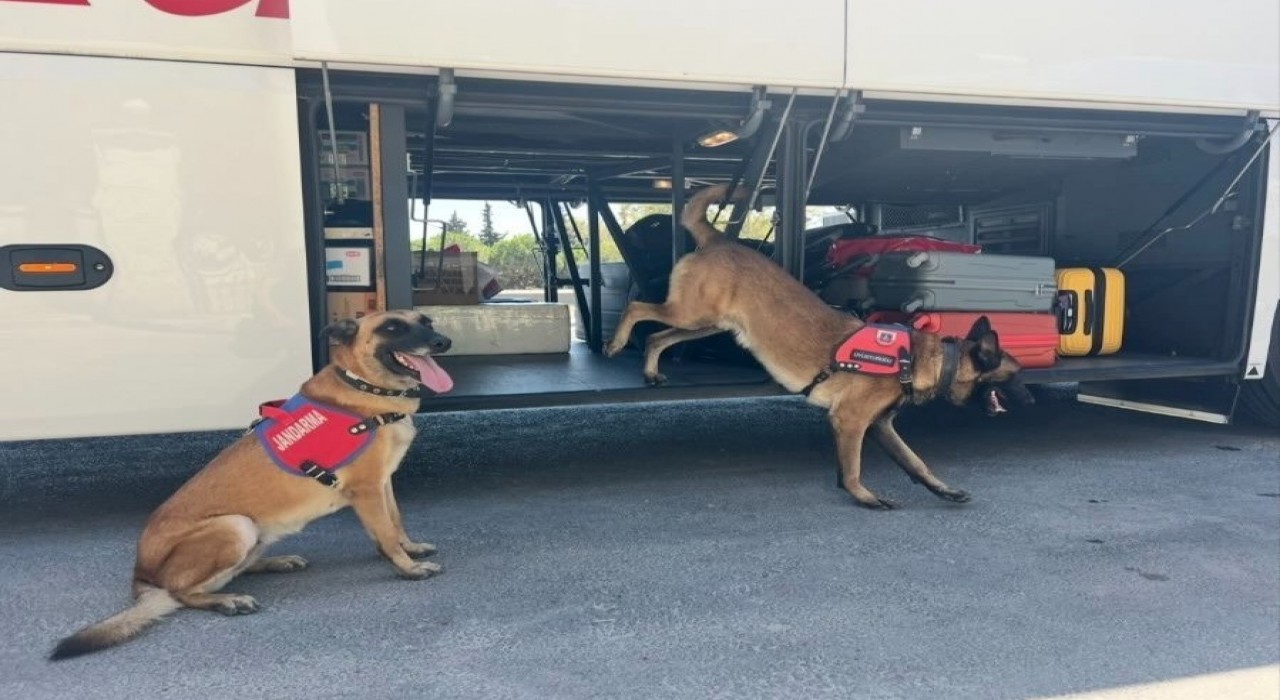 Jandarmadan ‘uyuşturucu denetimi