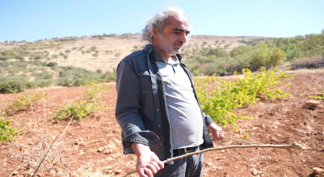 Jeoloji Mühendisi Fahri Çelik: Elektronik cihazlarla suyun yeri, derinliği ve miktarı tespit edilebiliyor