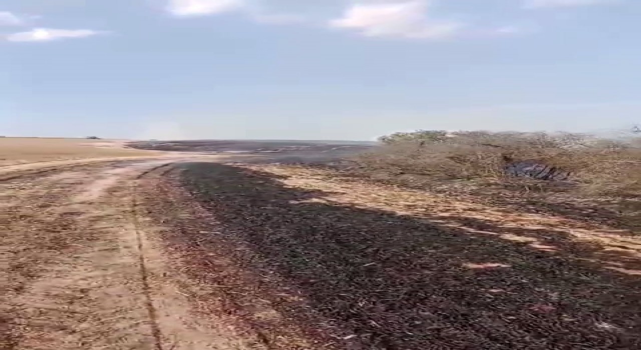 Kapaklıda çıkan yangında 8 dönüm arazi kül oldu