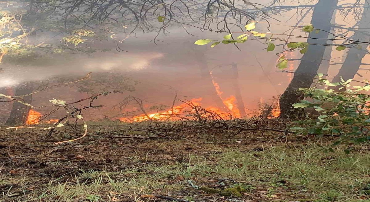 Karabükte orman yangını