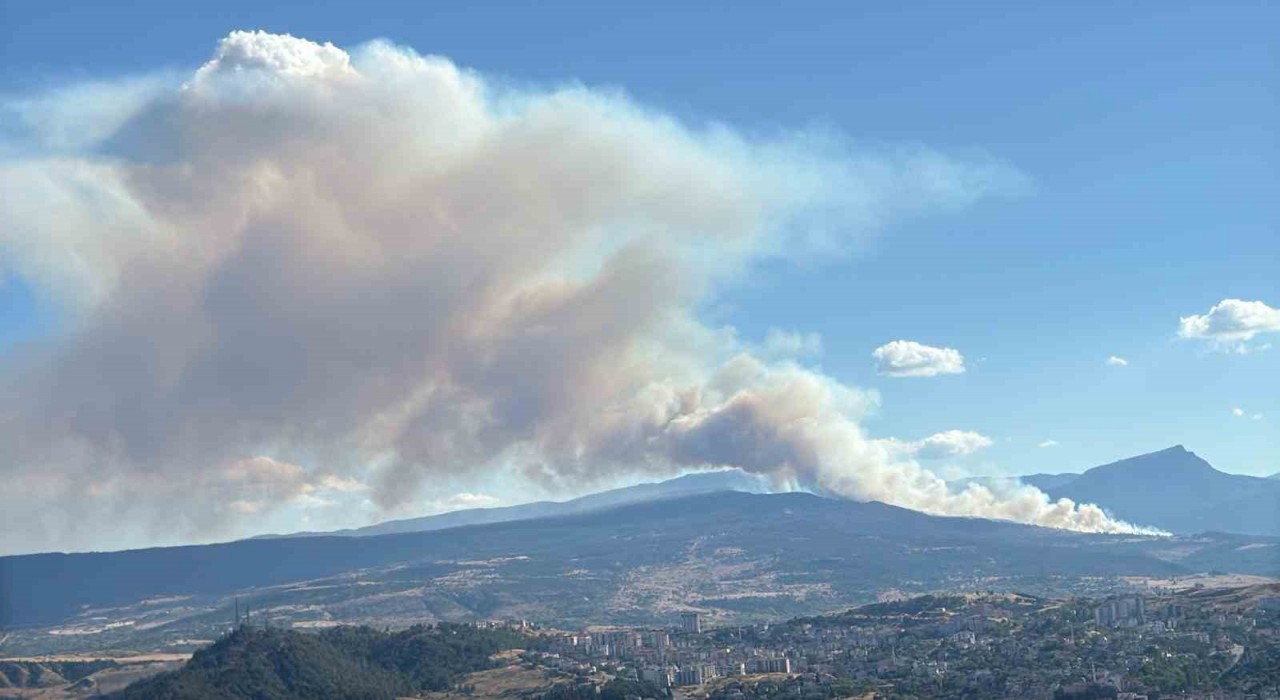 Karabükte yangınlar art arda çıkıyor