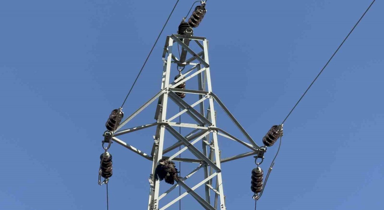 Karabükteki orman yangınında ‘karga şüphesi