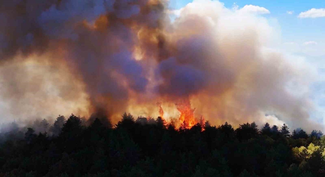 Karabükteki yangın 48 saattir devam ediyor