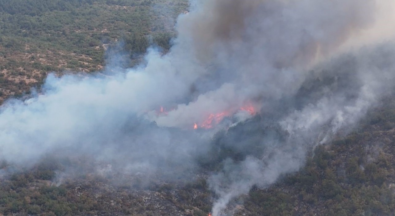 Karabükteki yangınla ilgili 5 kişi gözaltına alındı