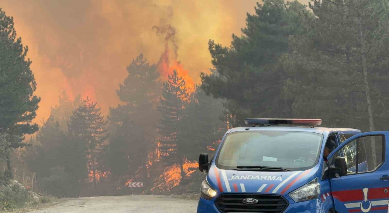 Karabükteki yeni yangın rüzgarın etkisiyle hızla ilerliyor