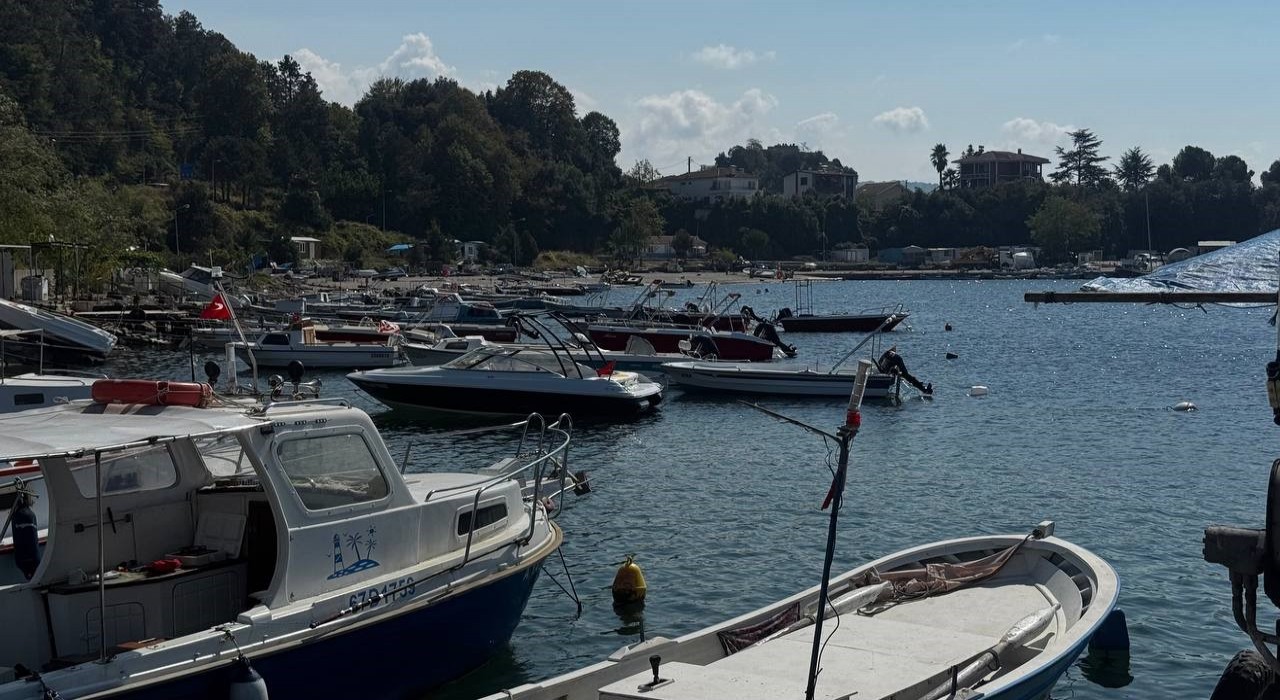 Karadenizde bu yıl hamsi beklentisi büyük
