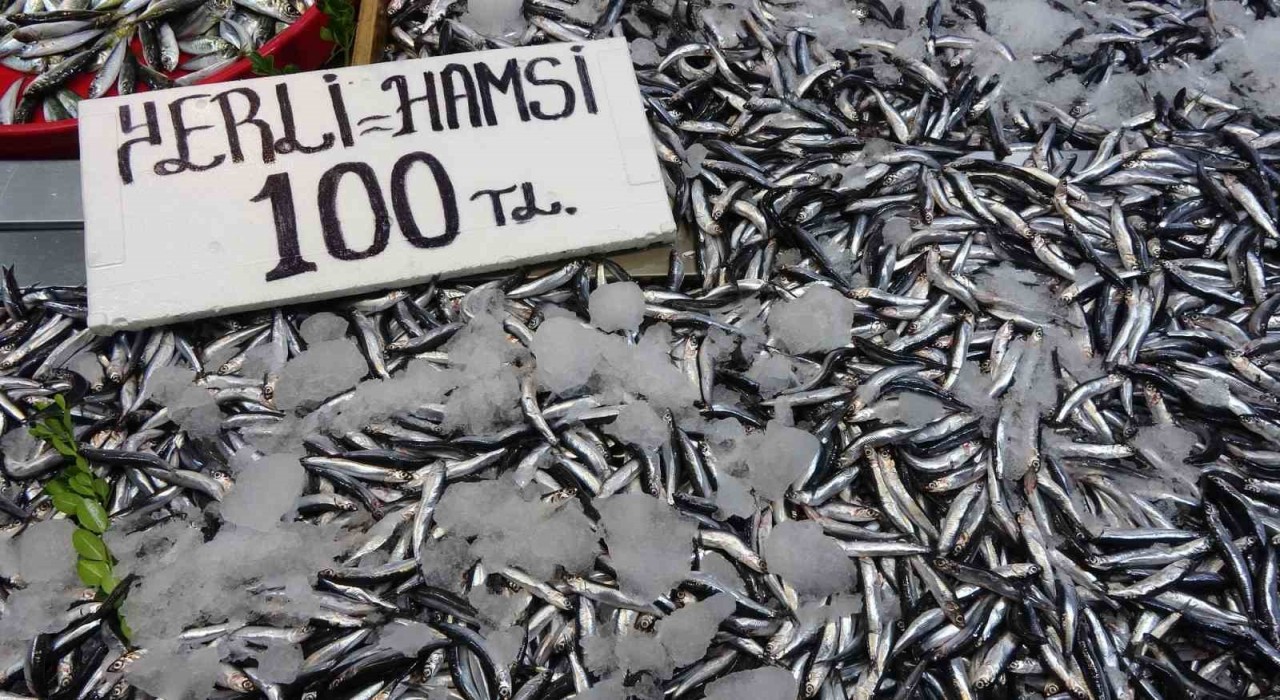 Karadenizde hamsi bereketi sürüyor