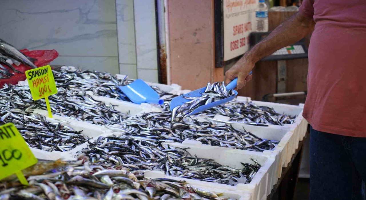Karadenizin incisi hamsi tezgahlarda: Ne alırsan 100 TL