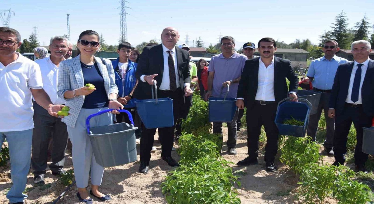 Karapınarda Doğayla El Ele Öğreniyorum, Üretiyorum, Paylaşıyorum projesi meyvelerini veriyor