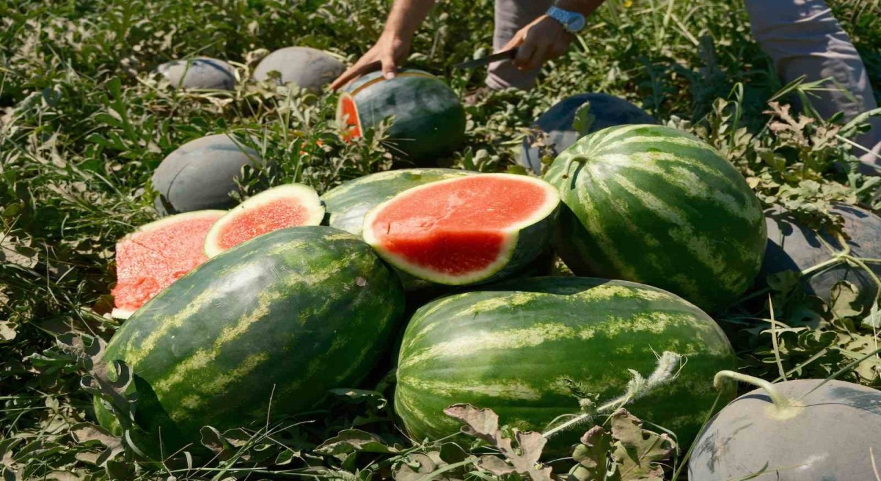 Karpuzun fiyatı 70 kilometrede 30a katlanıyor