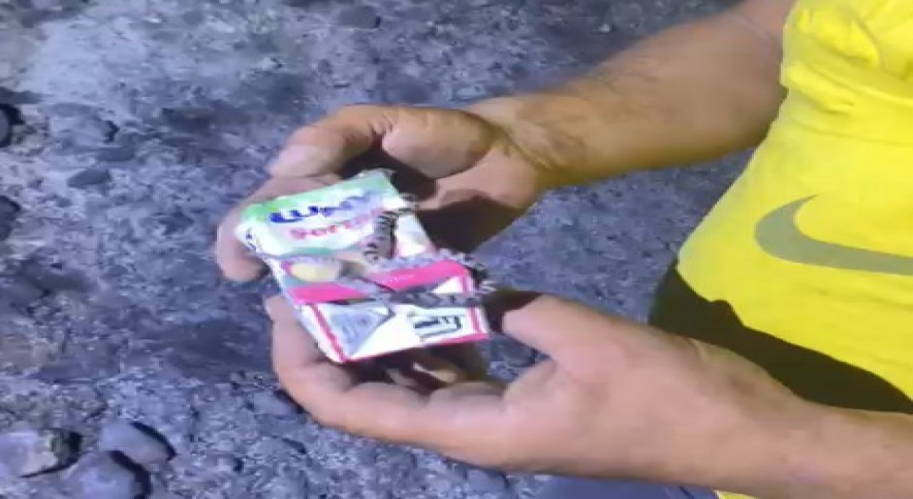 Kastamonuda küle dönen ormanda sağ bulunan yavru yılan görenleri şaşırttı