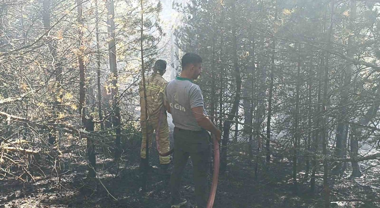 Kastamonuda orman yangını: 10 dönümlük alan zarar gördü