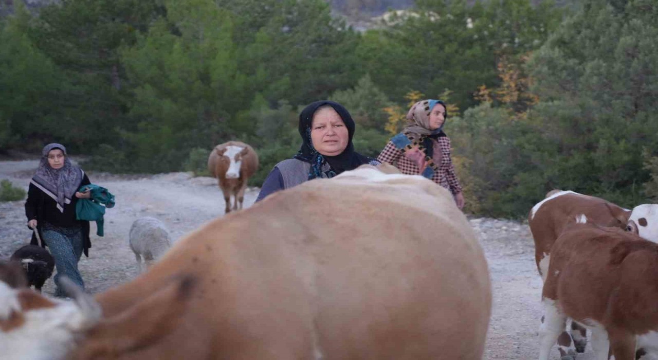 Kastamonuda orman yangını kontrol altına alındı, vatandaşlar köylerine kavuştu