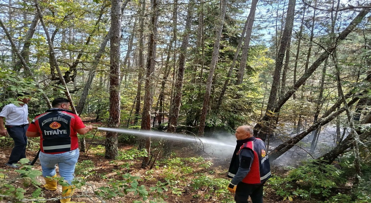 Kastamonuda ormanlık alanda çıkan yangın ekiplerin müdahalesiyle söndürüldü