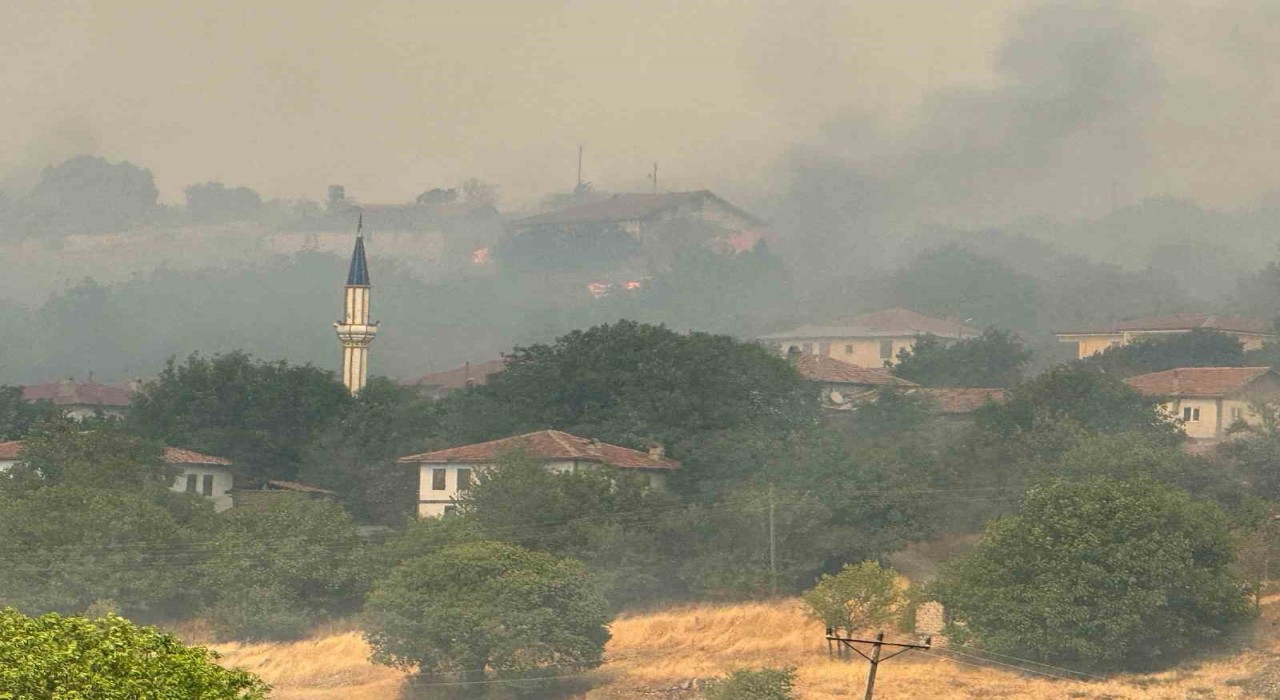 Kastamonudaki orman yangını köye ulaştı