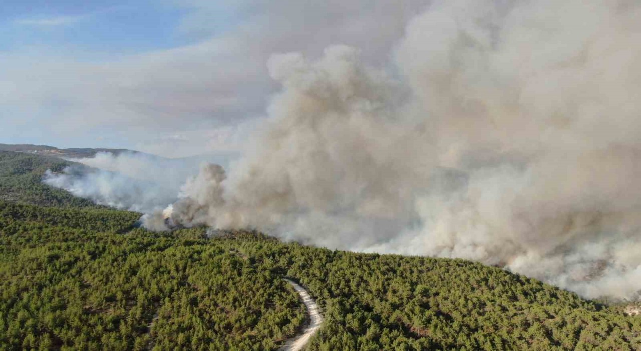 Kastamonudaki orman yangını sürüyor: Kuvvetli rüzgar yangının enerjisini arttırdı