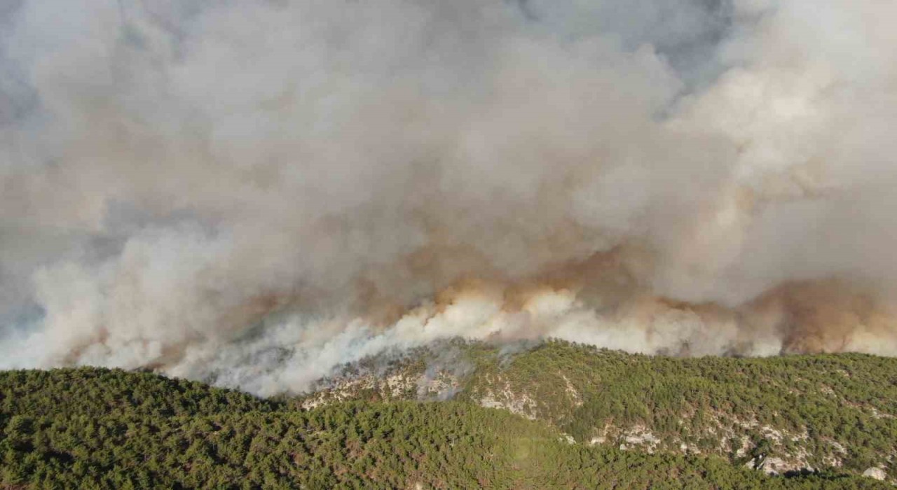 Kastamonudaki orman yangınlarında 2 bin 736 hektar alan zarar gördü