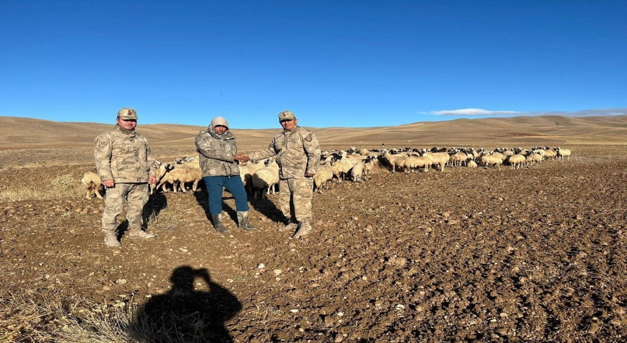 Kaybolan hayvanlar jandarma tarafından bulundu