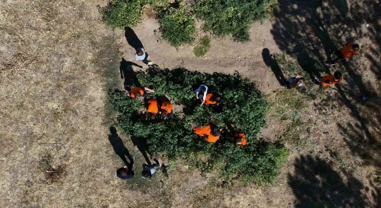 Kayseride ilkokul öğrencileri meyve bahçelerinde üretim yapıyor