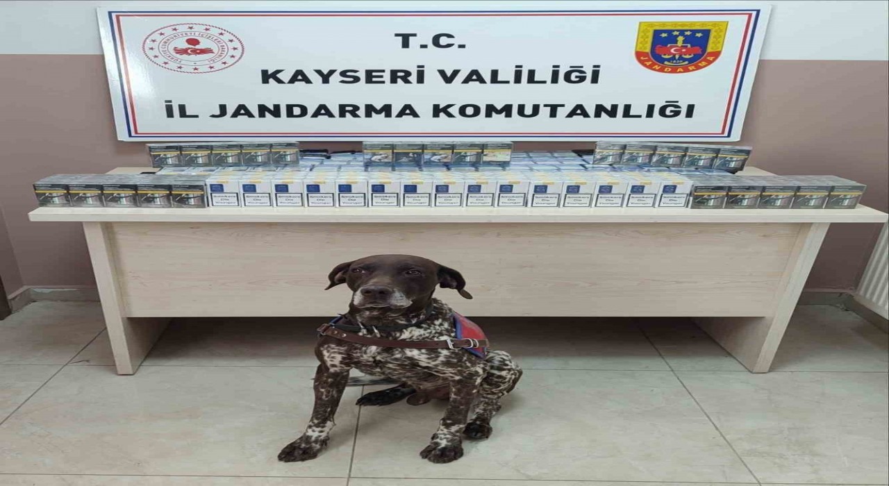 Kayseride kaçak sigara operasyonu