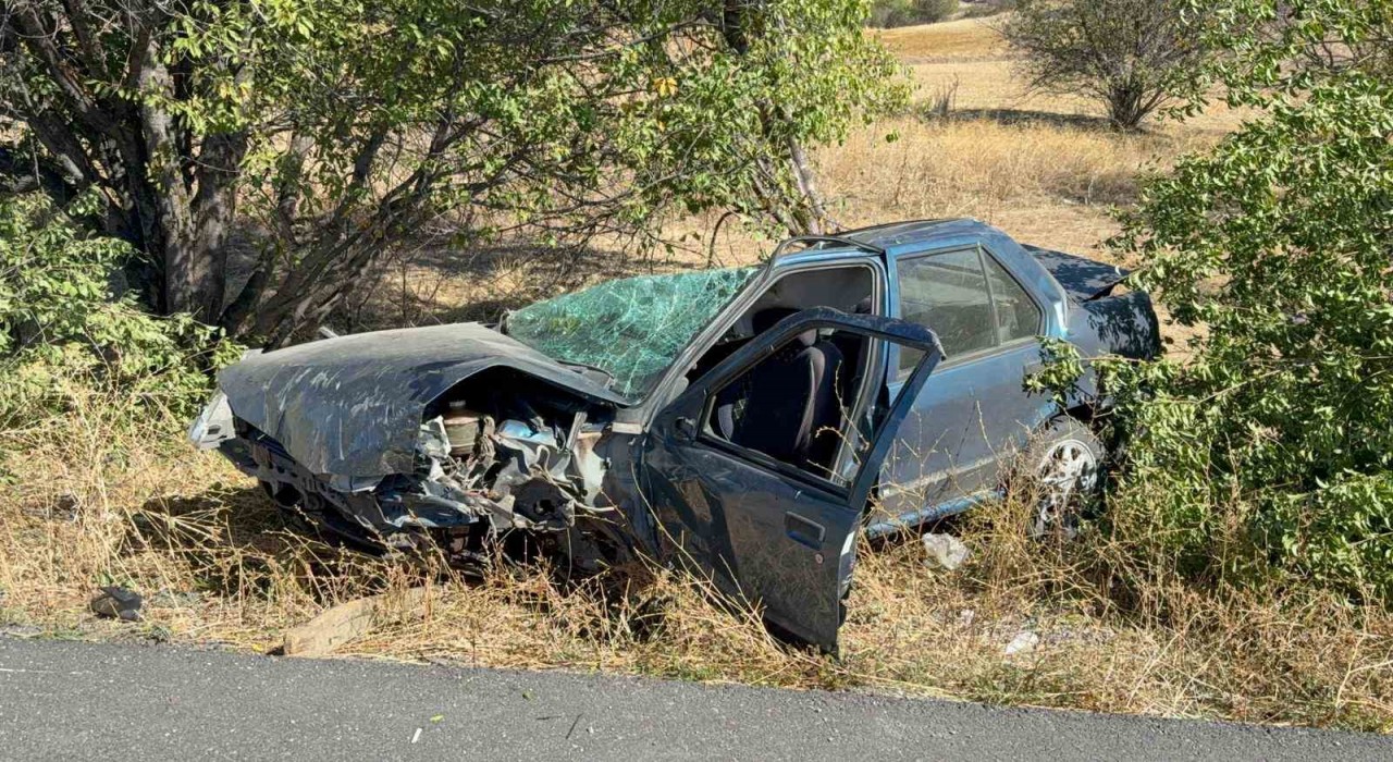 Kazada kopan tekerlek ağacın üzerine fırladı