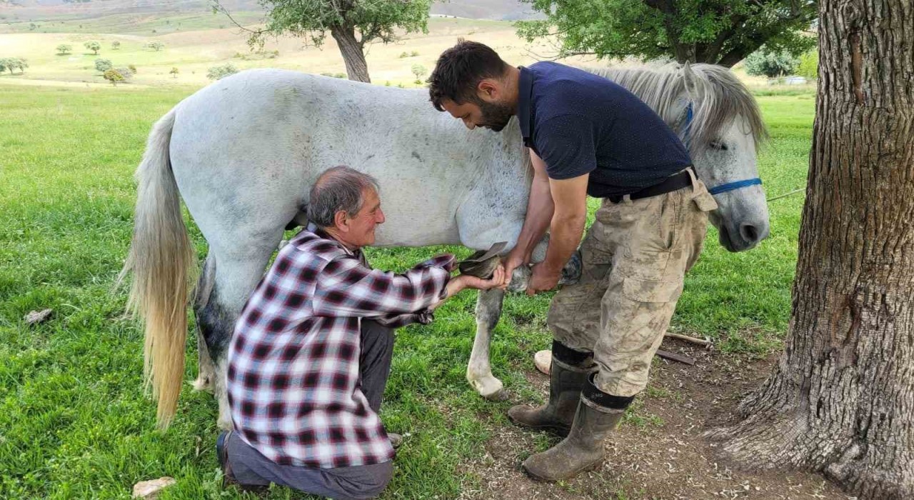 Kemaliyenin son nalbant ustası yarım asırdır mesleğini sürdürüyor