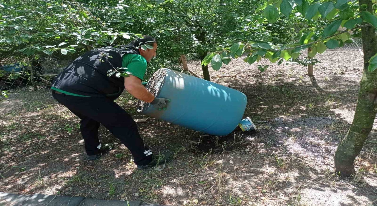 Kocaelide dört mevsim sivrisineğe geçit yok