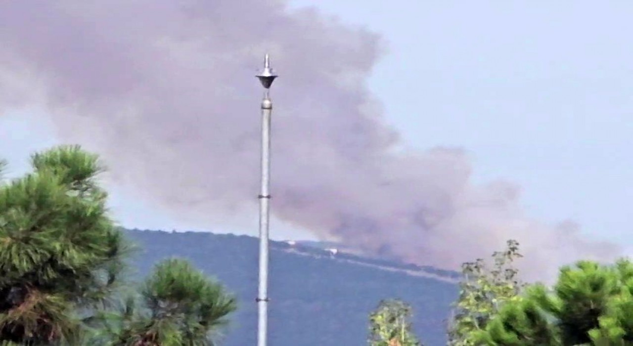 Kocaelide ormanlık alanda yangın çıktı