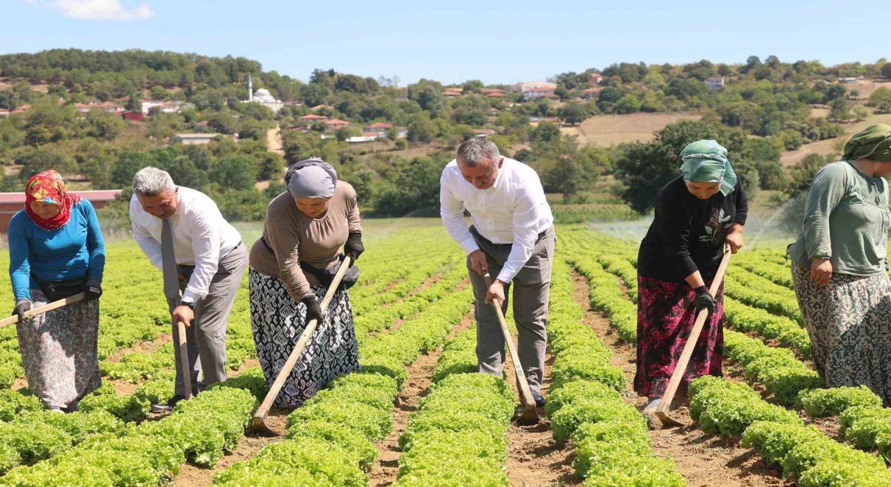 Kocaelide tarıma 1 milyar TLlik destek