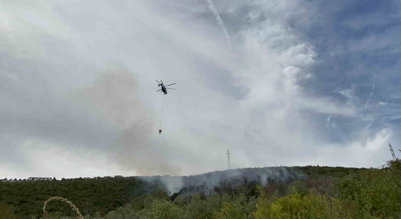 Kocaelideki orman yangını 1 saatte kontrol altına alındı