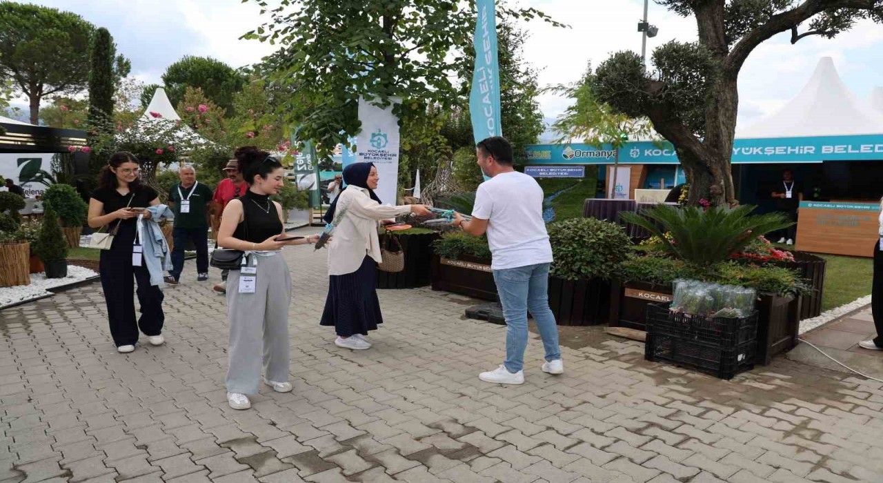 Kocaeliden Sakaryaya yeşil çıkarma