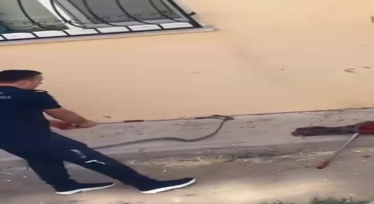Konut bahçesinde 1,5 metre uzunluğunda yılan görüldü