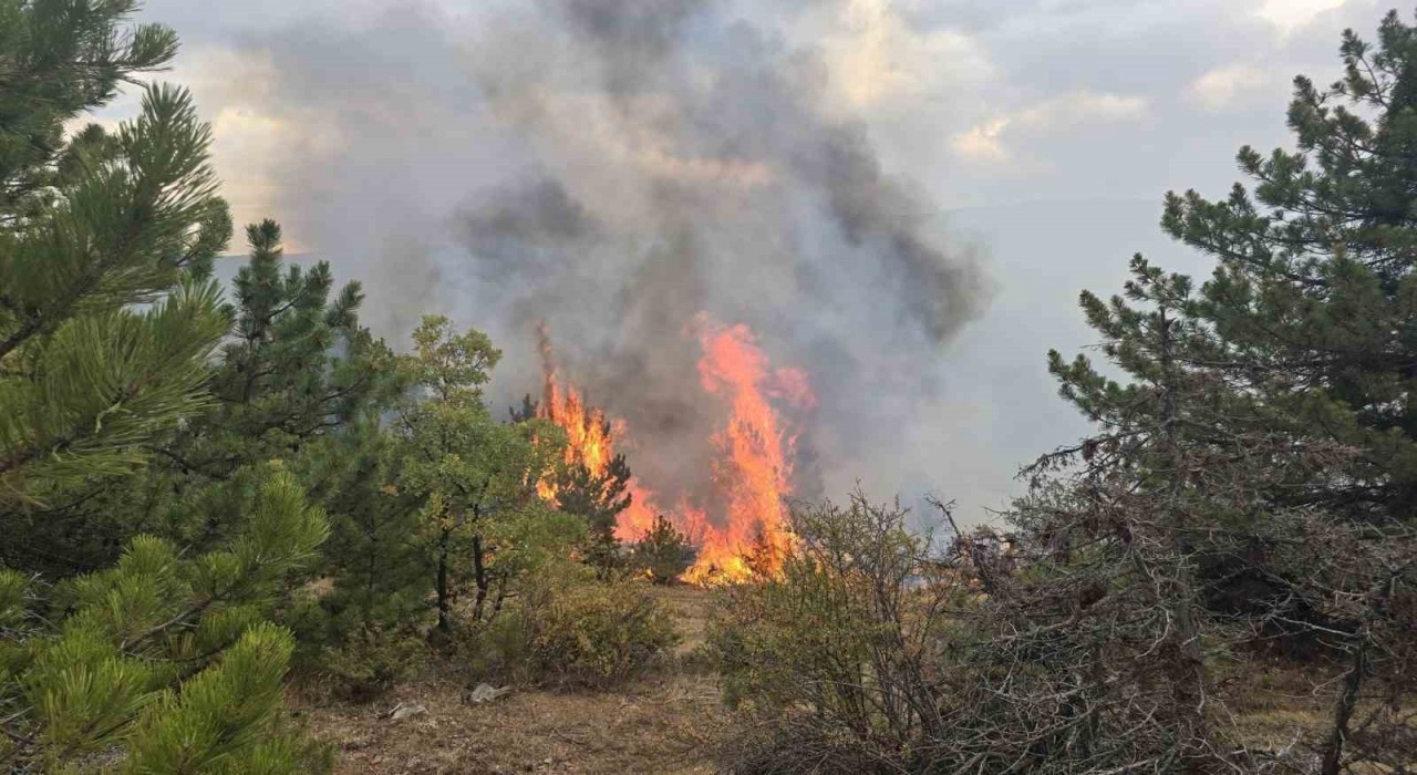 Konyada ormanlık alanda çıkan yangın söndürüldü
