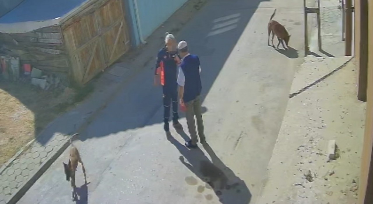 Köpeklerimi sen mi şikayet ettin diyerek yaşlı adamı tekme tokat dövdü