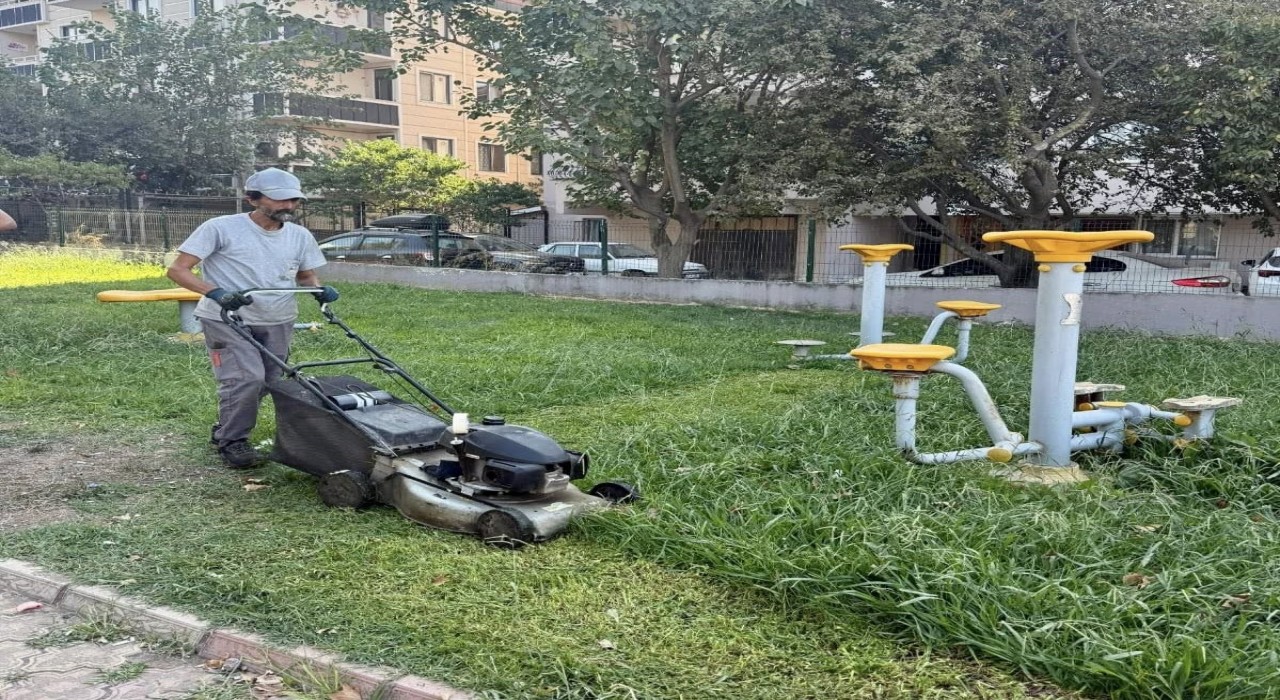 Körfezde park ve bahçelere bakım işlemi