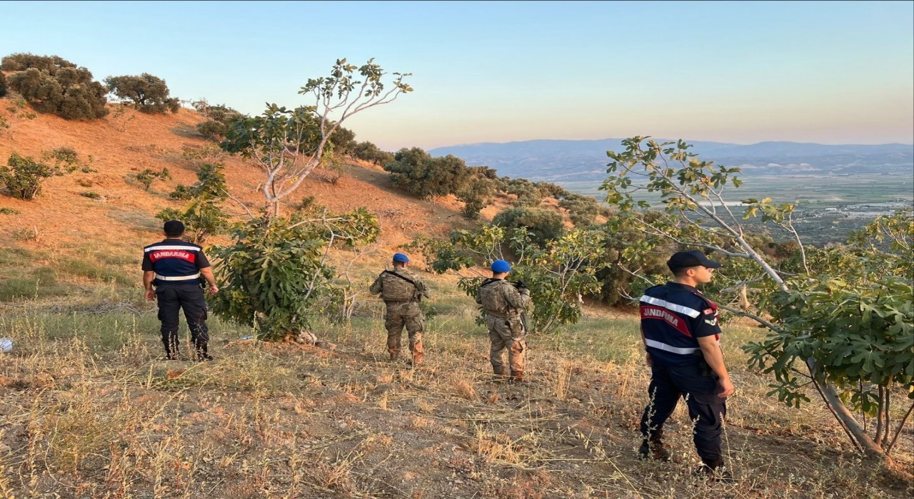 Köşkte jandarmadan incir nöbeti